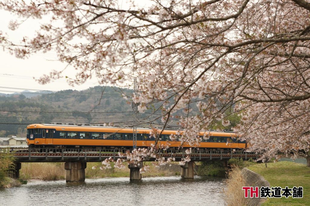 近鉄桜